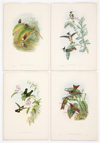 (BIRDS.) John Gould. Selection of 45 hand-colored lithographed plates from Gould's Hummingbirds and Birds of New Guinea.